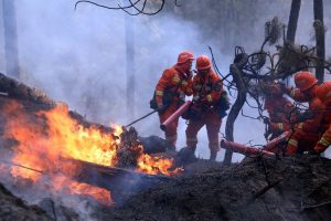 Manajemen Kebakaran Hutan Harus Disiapkan
