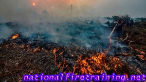 Cara Mencegah Kebakaran Hutan dan Lahan Karhutla 2021