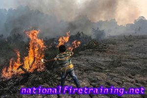 Cara Mencegah Kebakaran Hutan dan Lahan Karhutla 2021