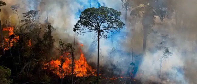 Bagaimana AS memerangi kebakaran hutan dan mengapa lebih banyak inovasi sangat dibutuhkan