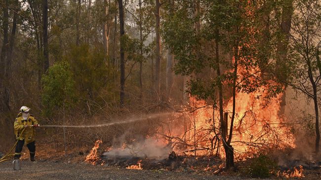 Penanggulangan Bencana Kebakaran Hutan Liar