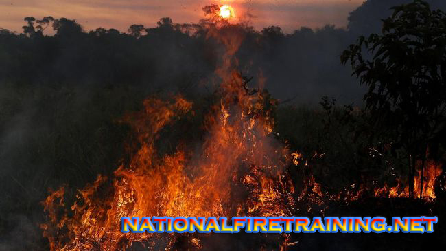 Kebakaran Hutan Hujan Amazon