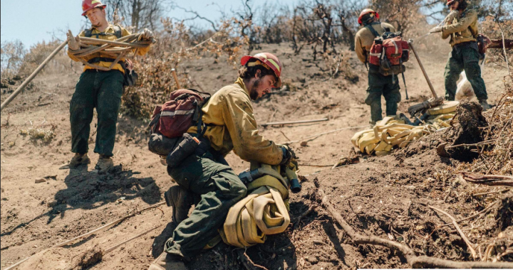 Cara Menerapkan Antarmuka Wildland Di Perkotaan