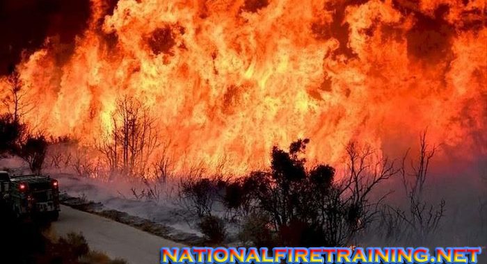 California Mengatur Kebakaran Hutan Yang Terkendali