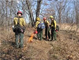 Program Pertolongan Pertama BIA Wildland Fire