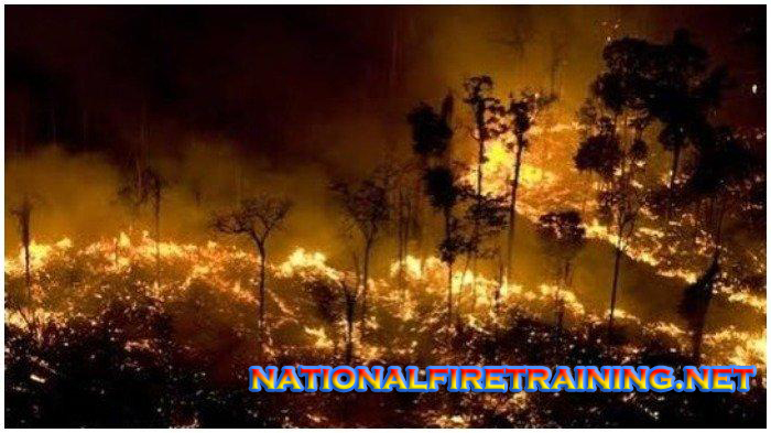 Kebakaran Hutan Hujan Amazon