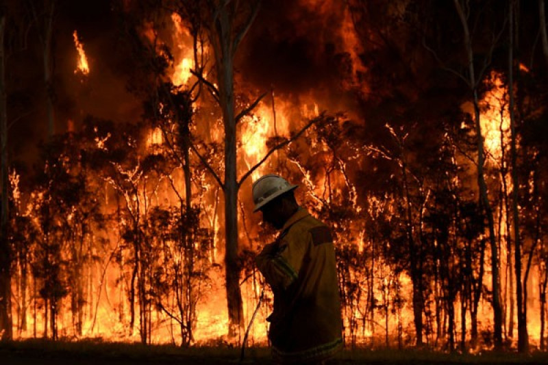Program Perlindungan dan Kesadaran Kebakaran Hutan Nevada