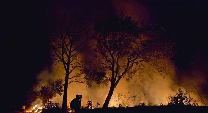 Salah urus tidak bisa disalahkan atas kebakaran hutan California