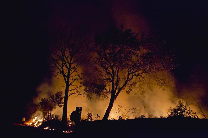 Salah urus tidak bisa disalahkan atas kebakaran hutan California